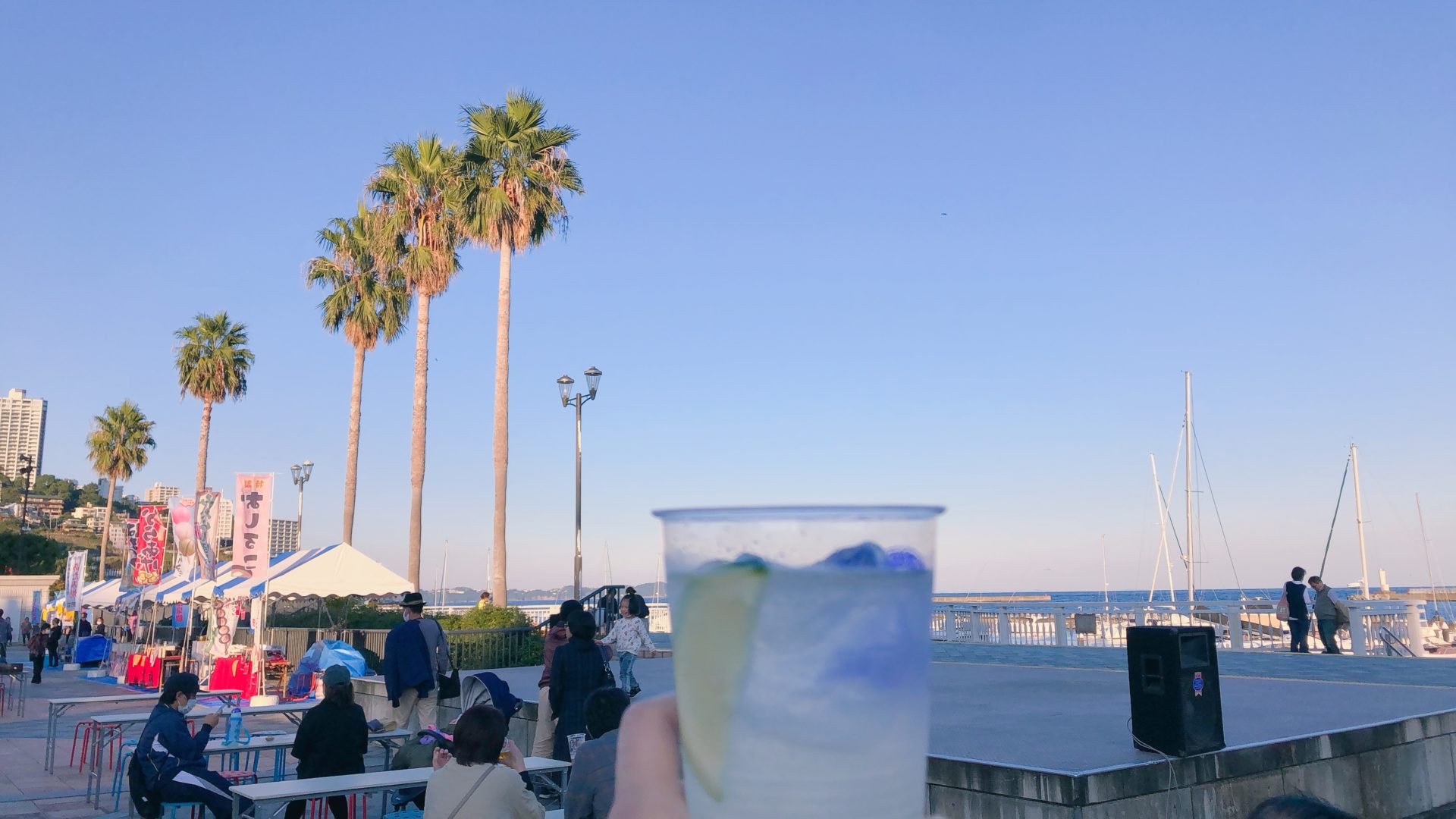 おさかなフェスティバル/熱海だいだいサワー