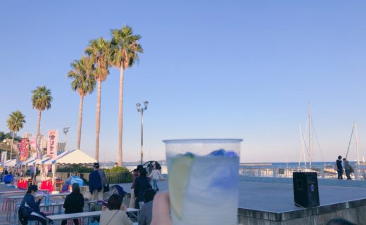 おさかなフェスティバル/熱海だいだいサワー