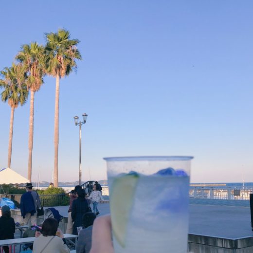 おさかなフェスティバル/熱海だいだいサワー